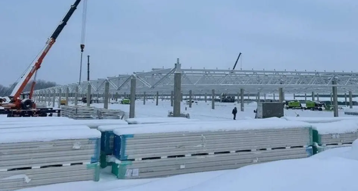    Правительство Ярославской области. с сайта s14.stc.yc.kpcdn.net