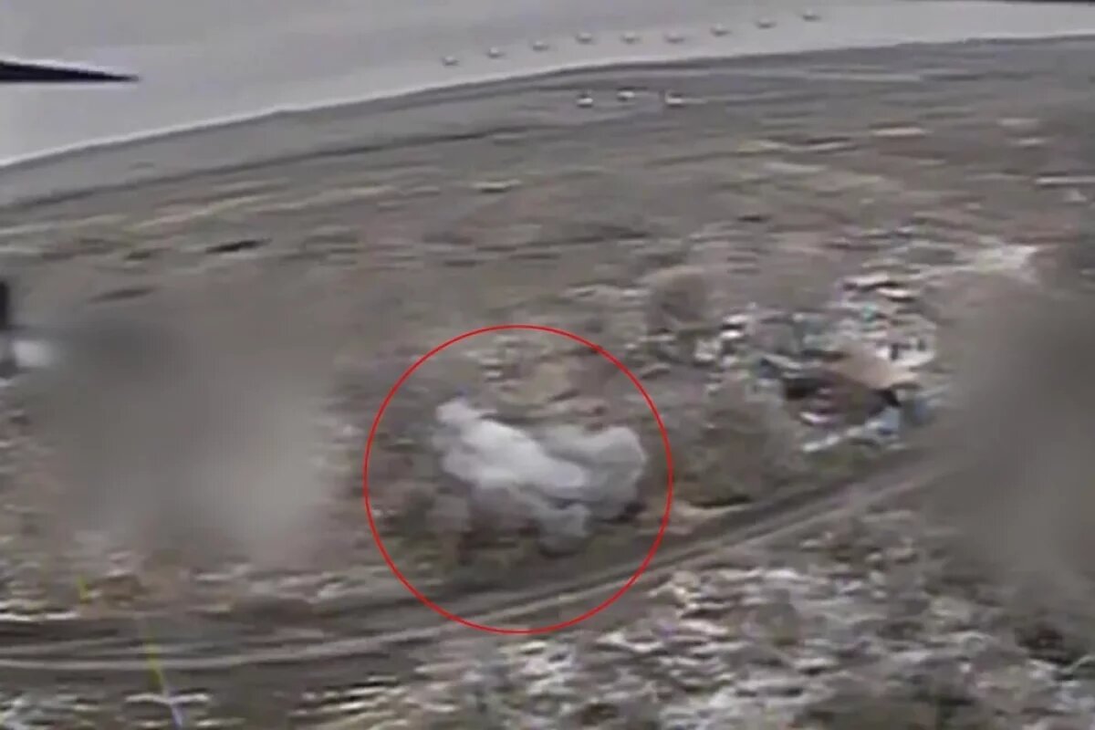    Бои на добропольском направлении идут ожесточенные и с большими потерями для ВСУ.