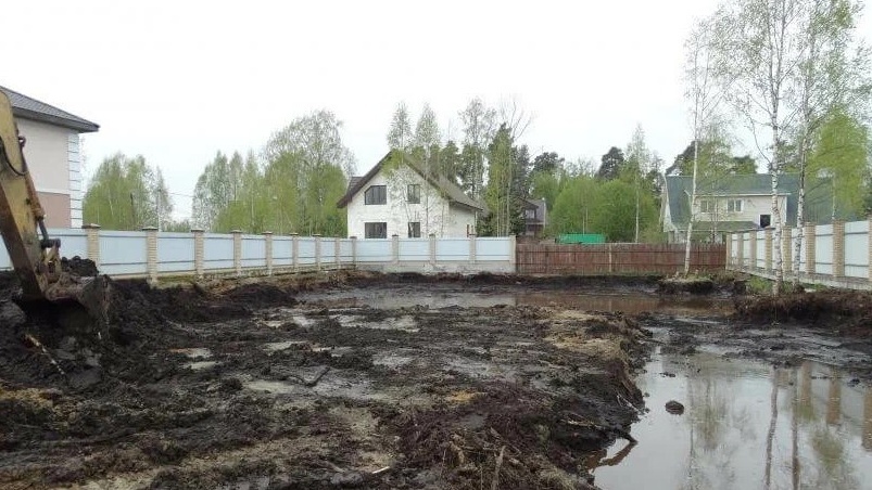 Воткнул 7 неприхотливых растений в самые гиблые места участка. Результат ошеломил