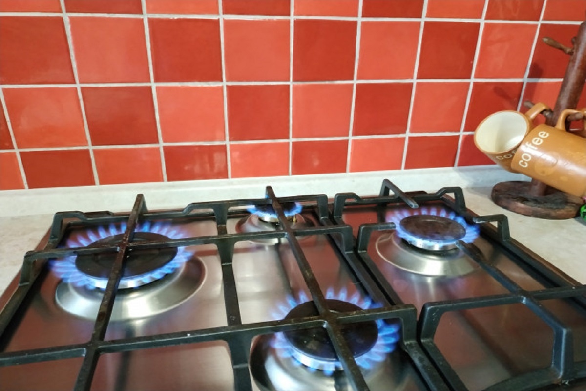    Фото: Елена Костюченкова