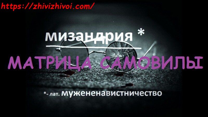 СЕГОДНЯ - БОЛЕЕ 90% ЖЕНЩИН ЖИВУТ В МАТРИЦЕ САМОВИЛЫ!