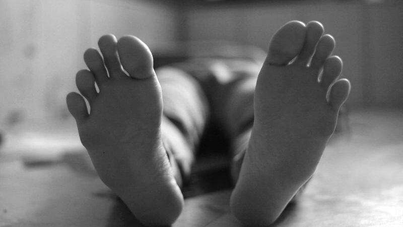    Фото: airdone/Shutterstock/Fotodom