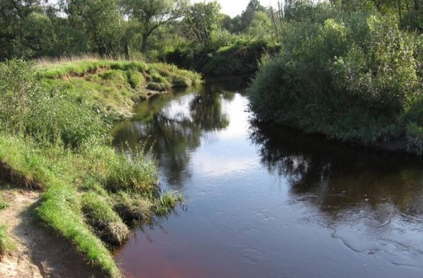 Река Барсучки