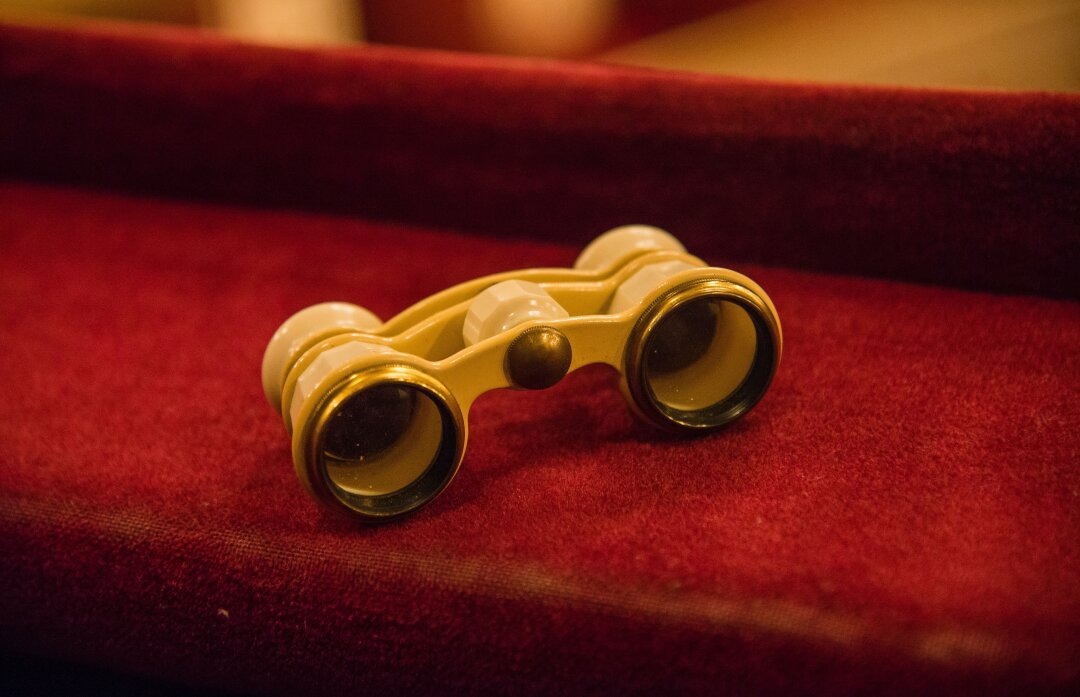    Фото: Stanislaw1999/shutterstock