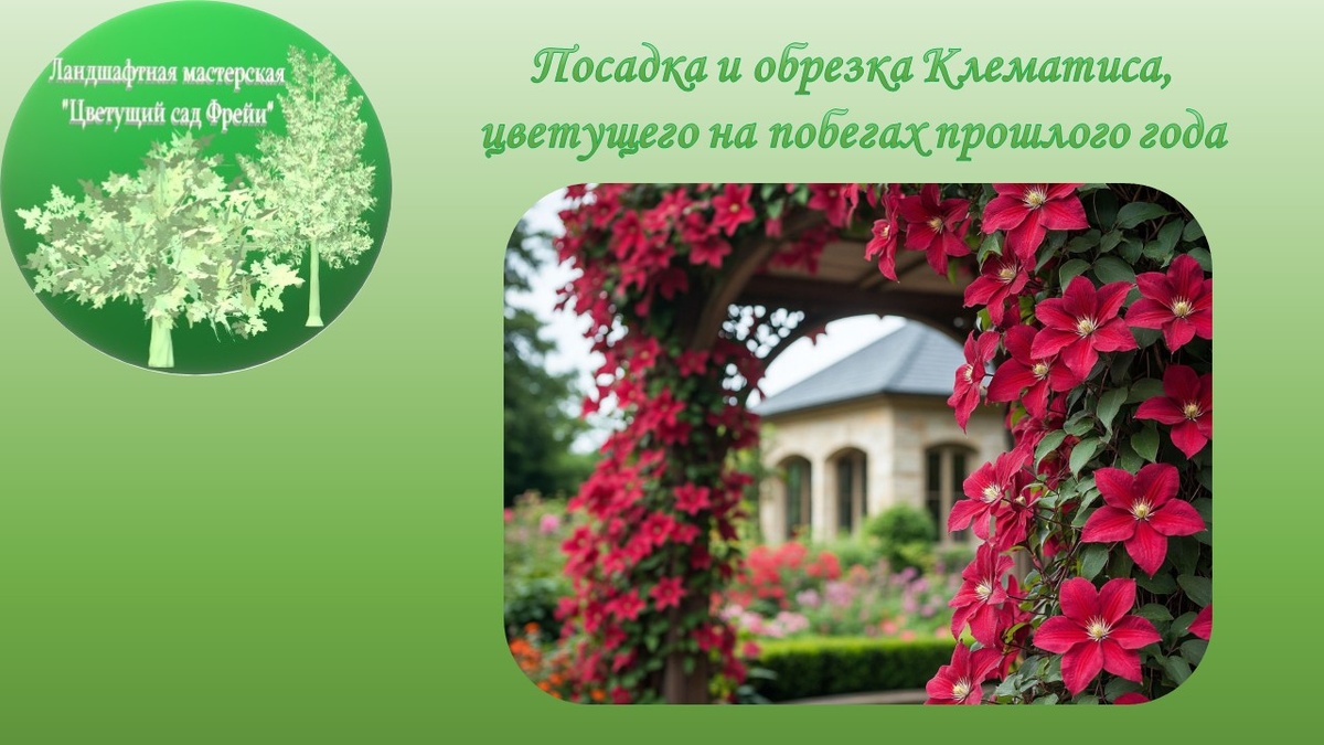 Фото автора с использованием изображения, созданного ИИ.