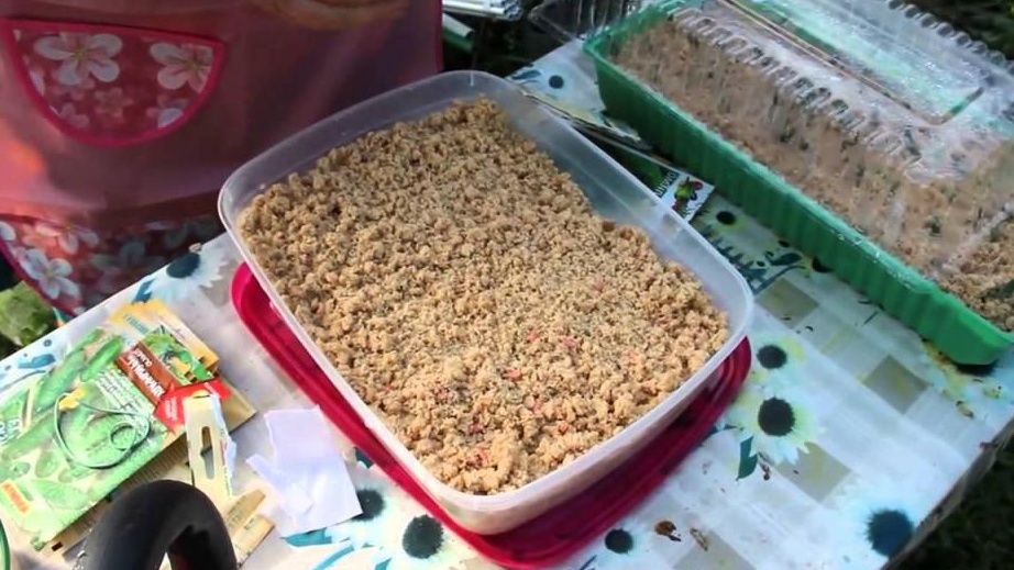 Сравниваю 5 методов подготовки семян. Один портит урожай