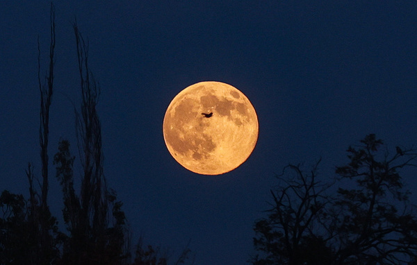 Александр Патрин/ТАСС