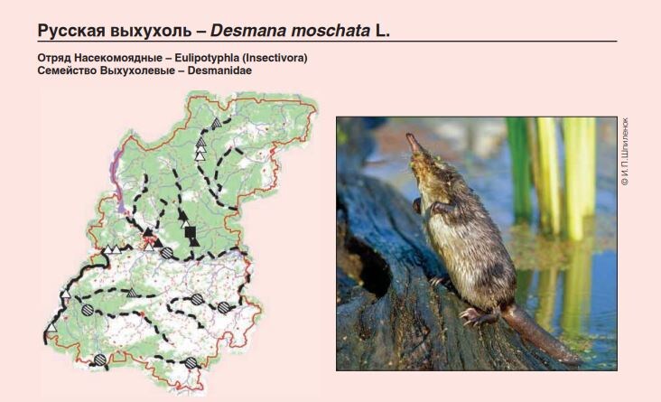    В Нижегородской области подготовили переиздание Красной книги