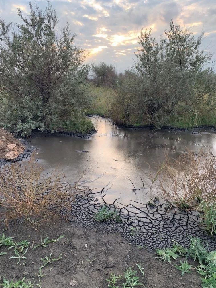 Фото: Прокуратура Волгоградской области