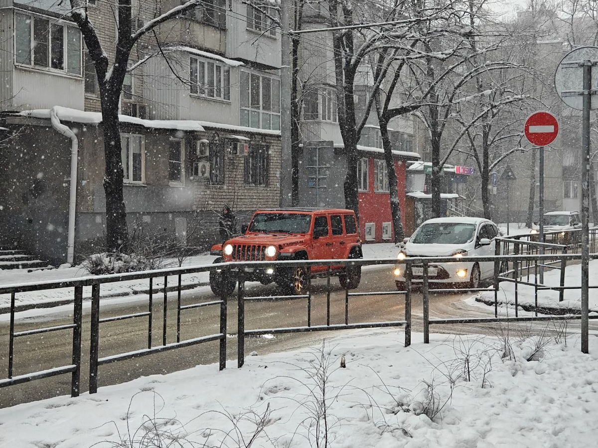    Фото: Юрий Серебренников/BFM Кубань