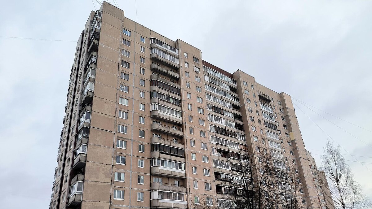    Фото: Maksim Konstantinov/globallookpress.com