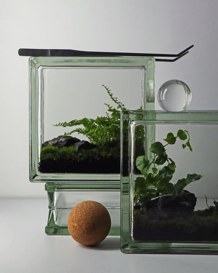 Экосистема Window