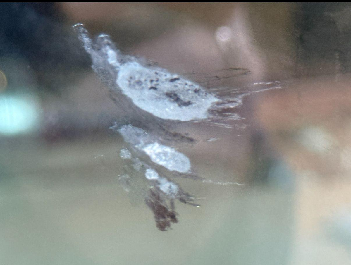 Царапина на стеклопакете в процессе производства