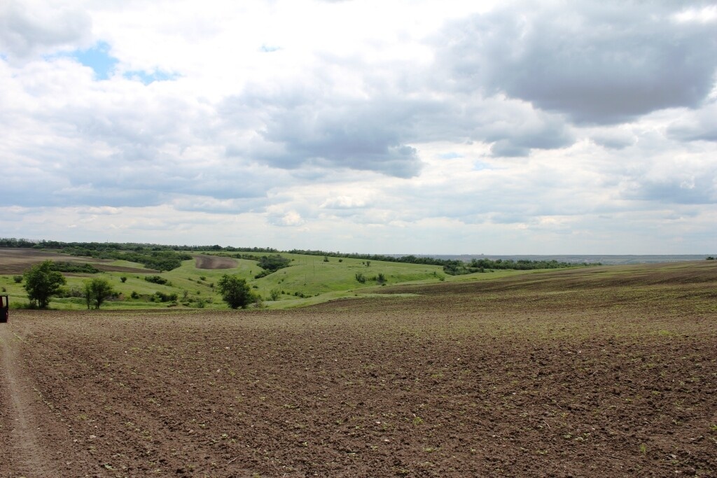    Фото: Луганский Информационный Центр