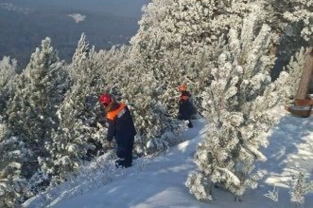    Спасатели ищут студентку из Красноярска в лесу Фото: КГКУ «Спасатель»