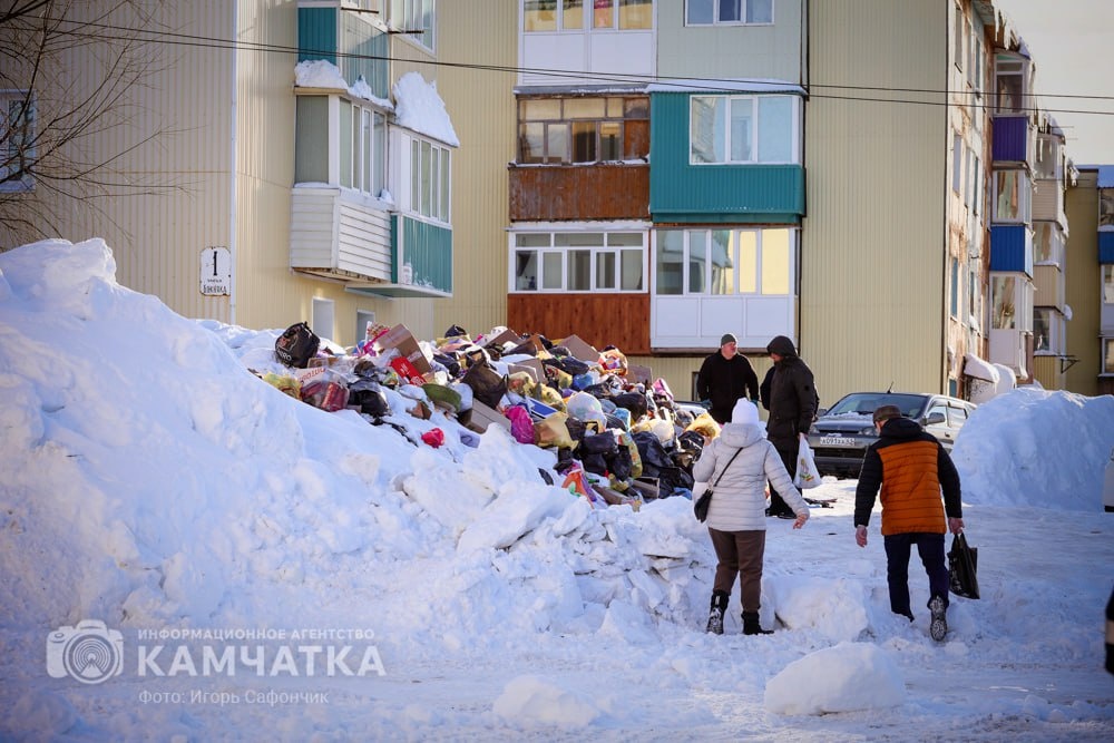 Фото Игоря Сафончика / ИА «Камчатка»