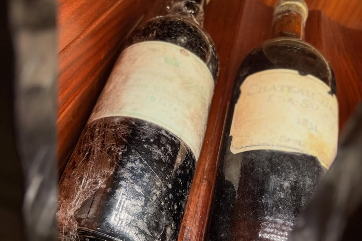    brooklynpeltzbeckham / Instagram (входит в корпорацию Meta, признана экстремистской и запрещена в России)