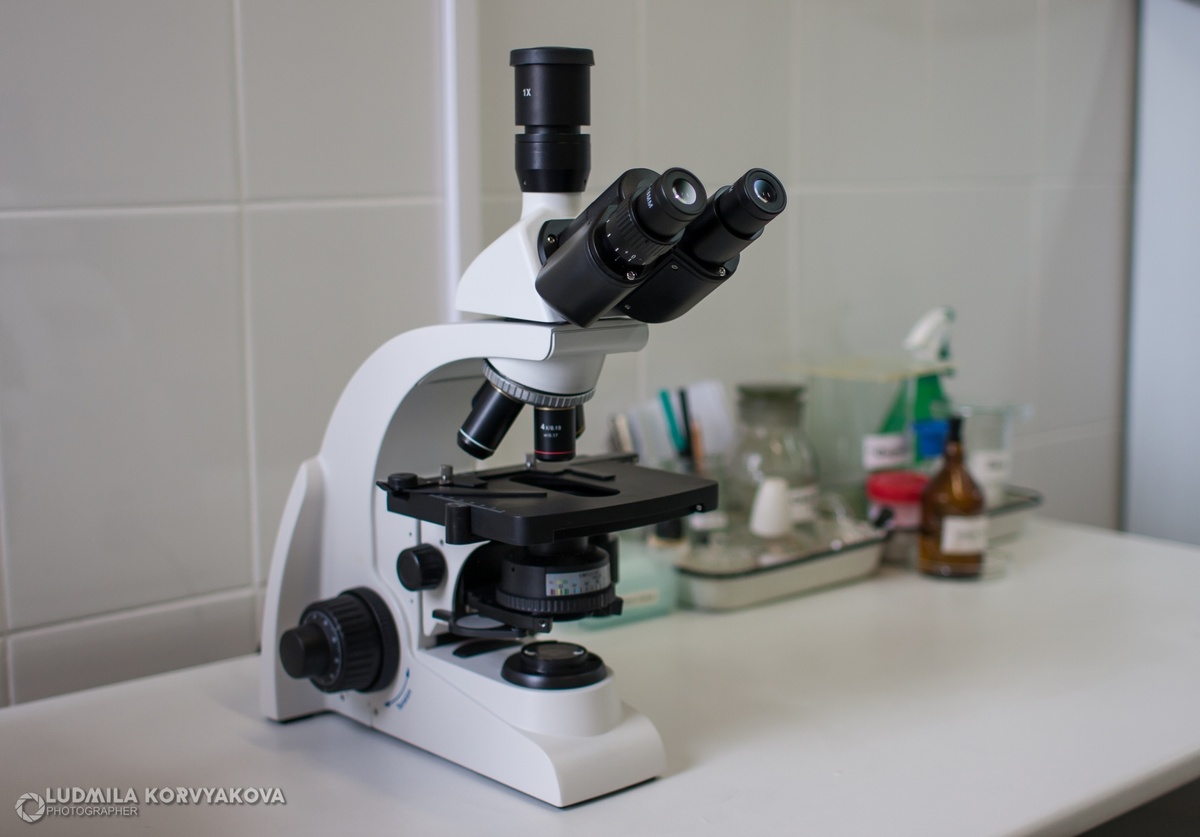    фото: © Столица на Онего