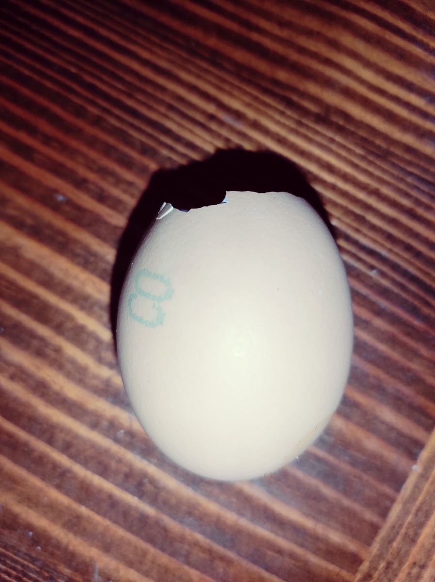    Вот мой одноразовый стаканчик