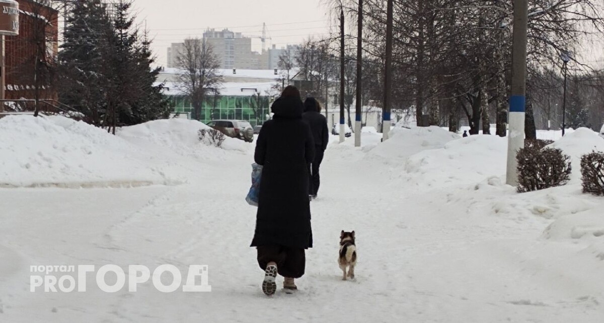    из архива "Про Город"