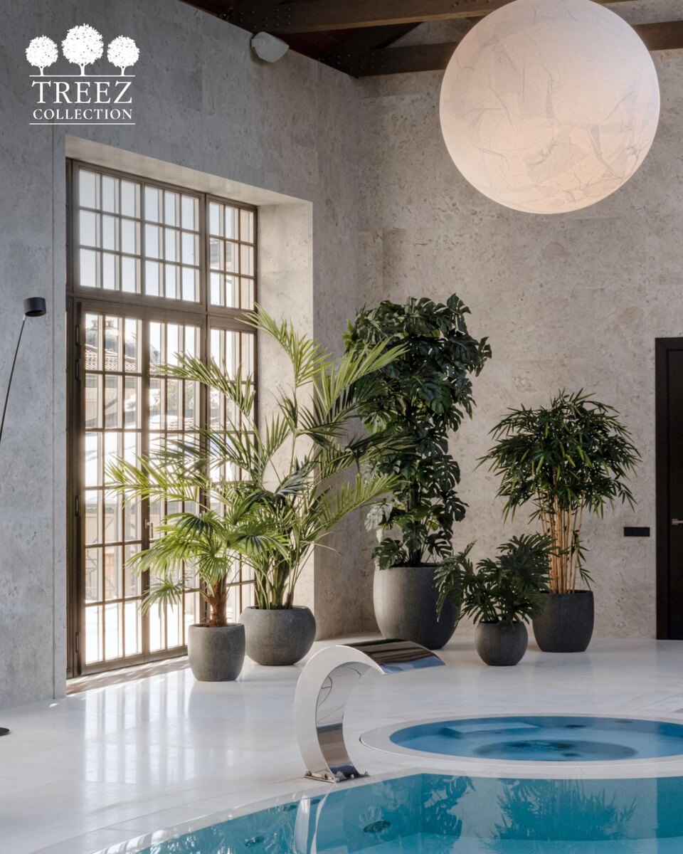 Кашпо и растения TREEZ Collection