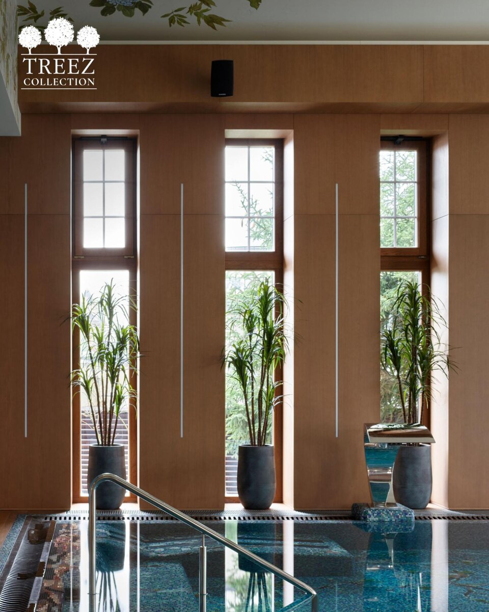 Кашпо и растения TREEZ Collection