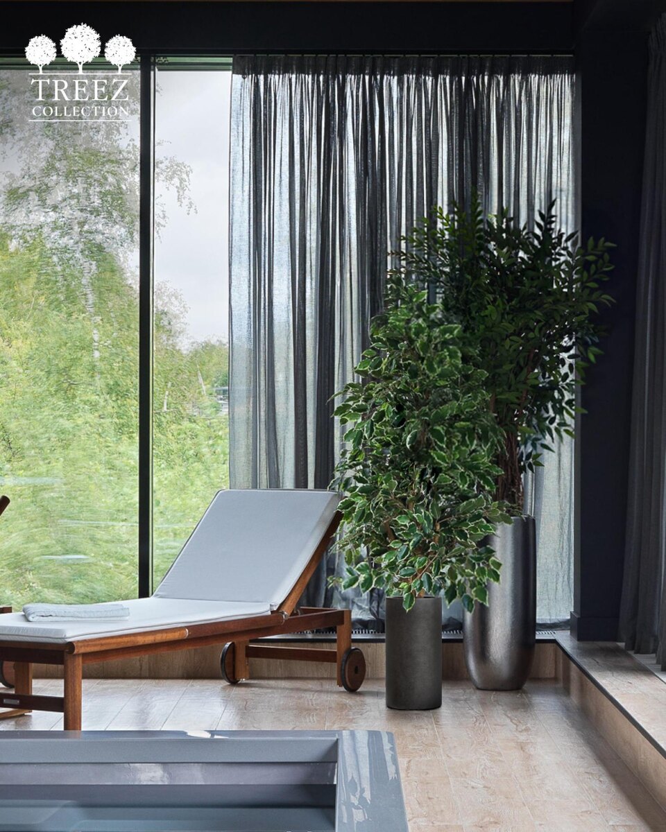 Кашпо и растения TREEZ Collection