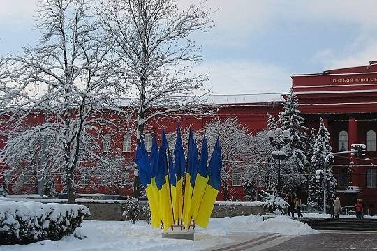    Власти Киева предложили горожанам пользоваться кошачьими лотками на фоне энергокризиса