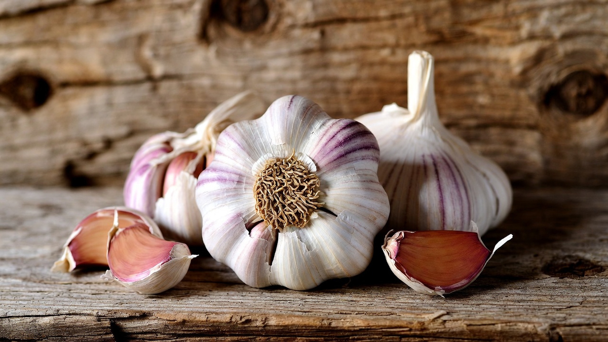 Чем полезен чеснок для здоровья человека Дмитрий Петров📷
