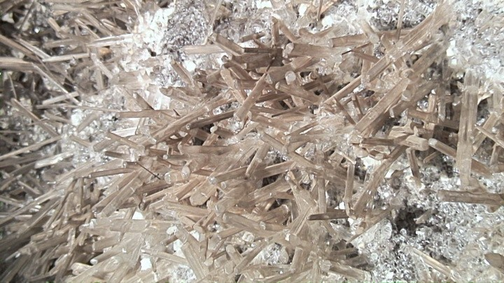 Учёные спустились на 300 метров под землю — и увидели то, во что трудно поверить без фото