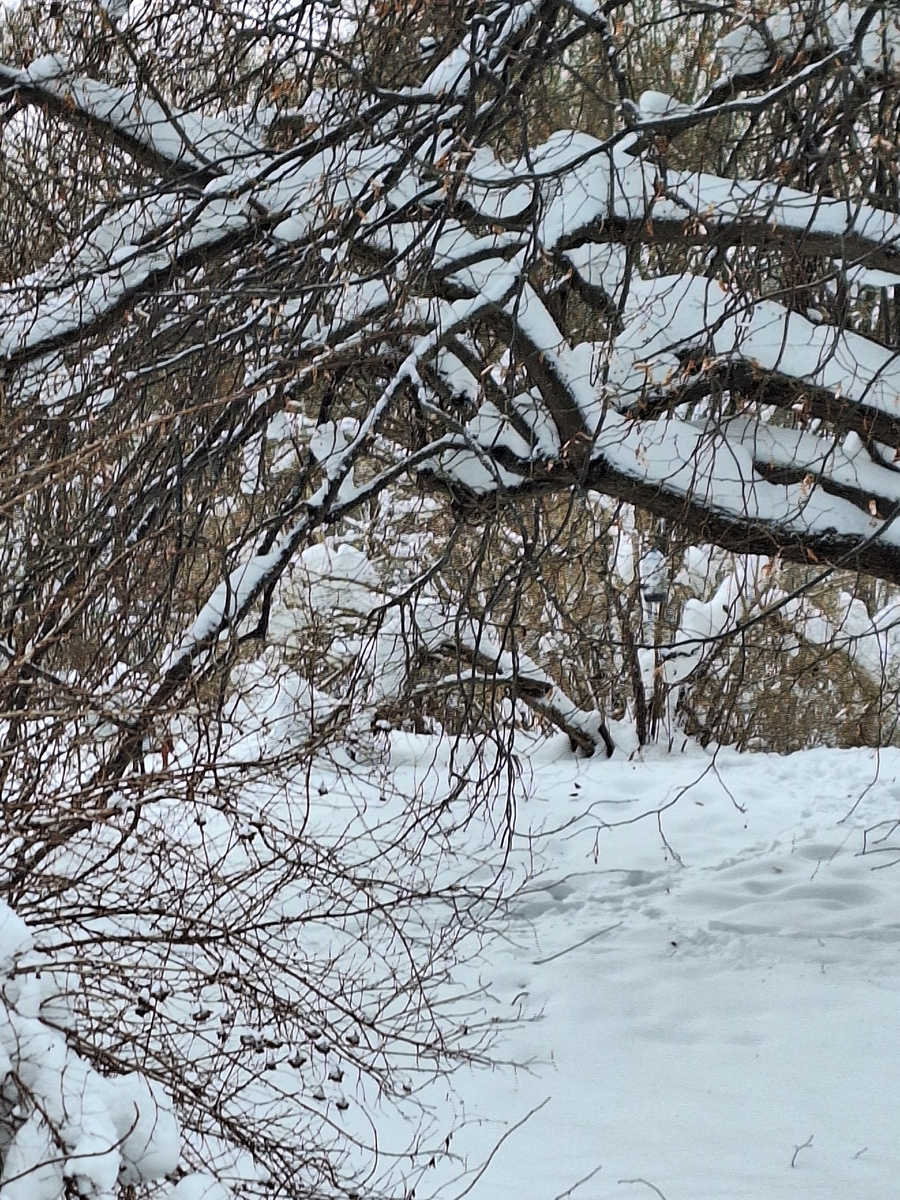 Фото - собственность автора канала "ТАК НАДО".