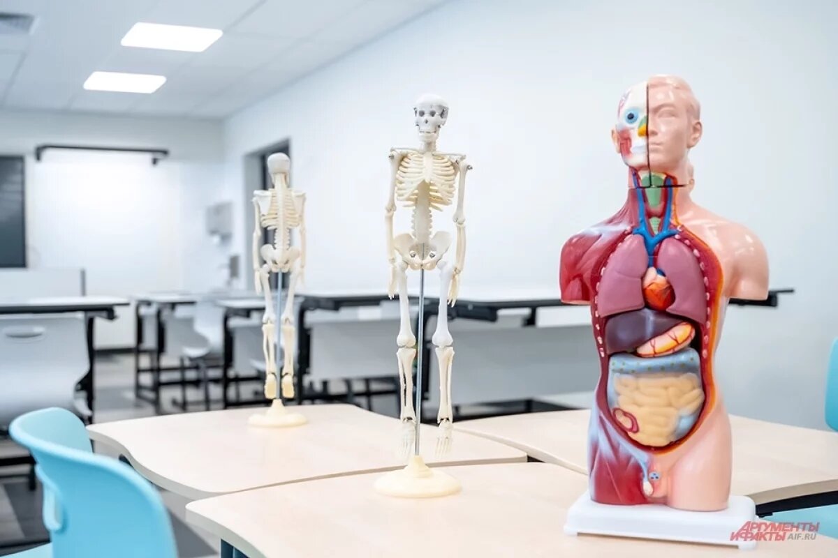    Младшеклассников из Улан-Удэ оставят на дистанционном обучении 30 января