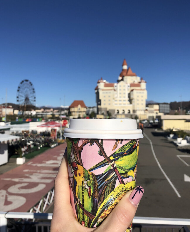 Архив. Сочи парк