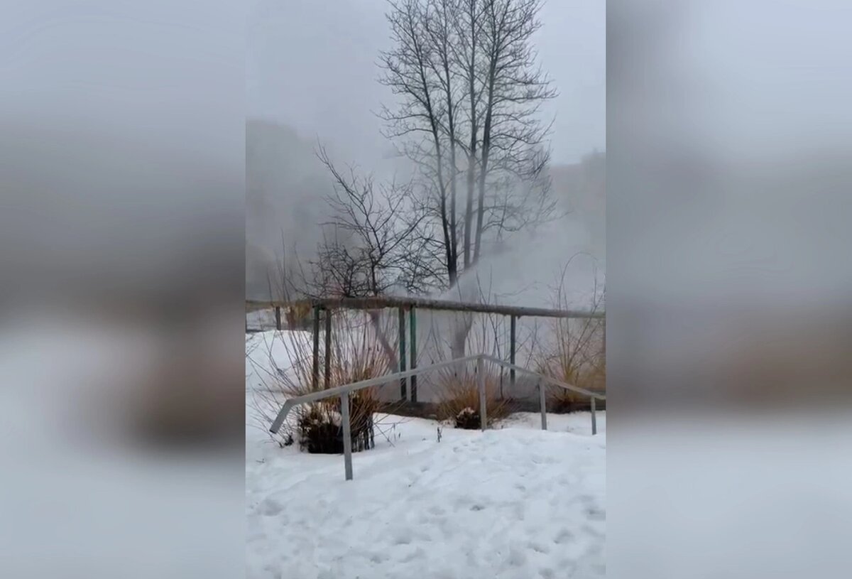    Фото: скриншот видео из соцсети