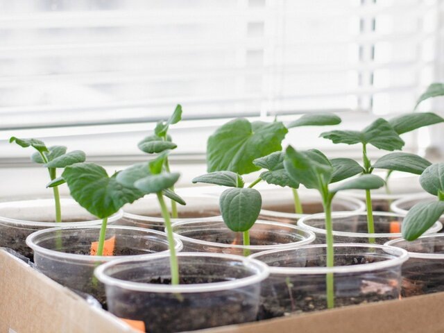    Фото: 123RF.com/innapylypchuk