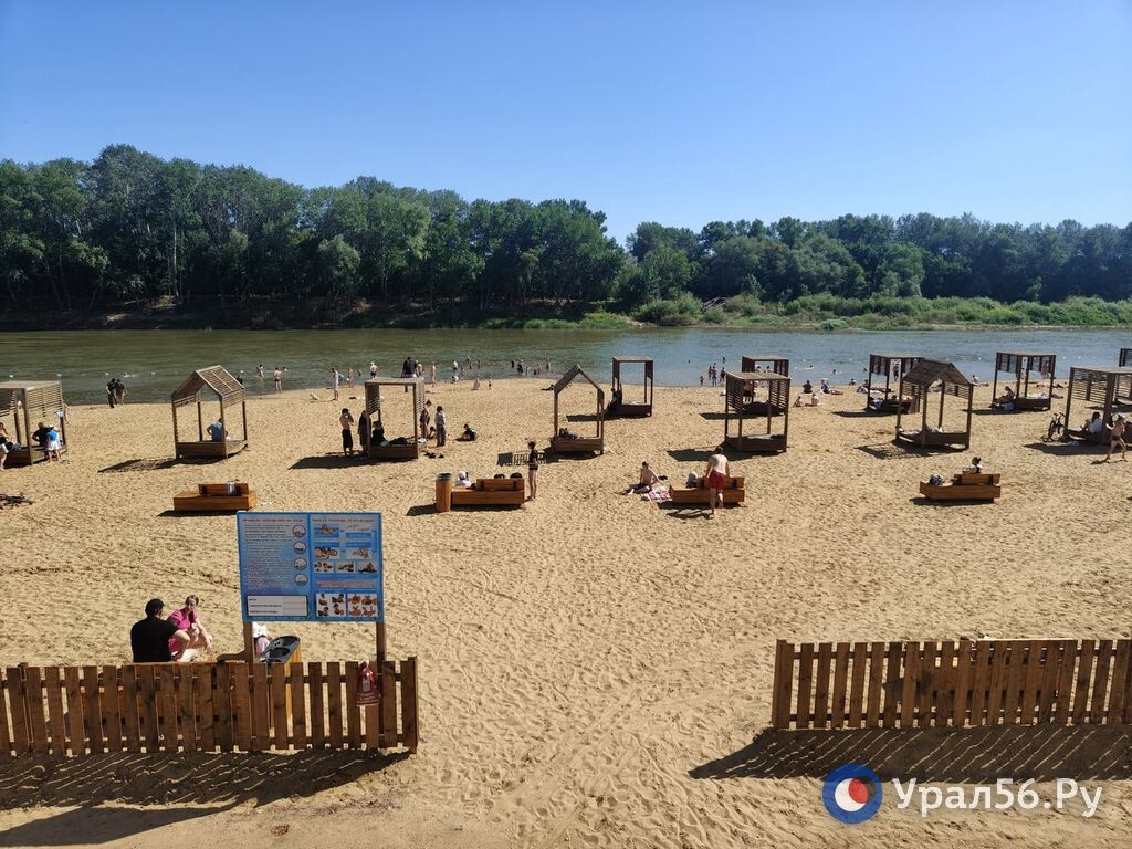    Тепло... еще теплее: 2025 год стал самым теплым за всю историю наблюдений в Оренбургской области