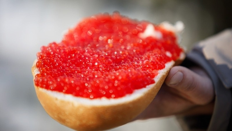      Фото: ИА «Победа26»