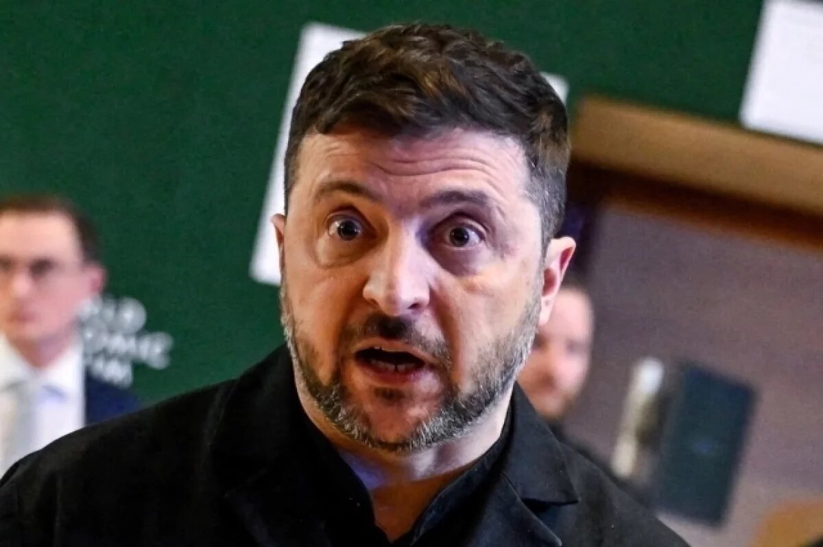    В Венгрии Зеленского назвали лающей беззубой собакой