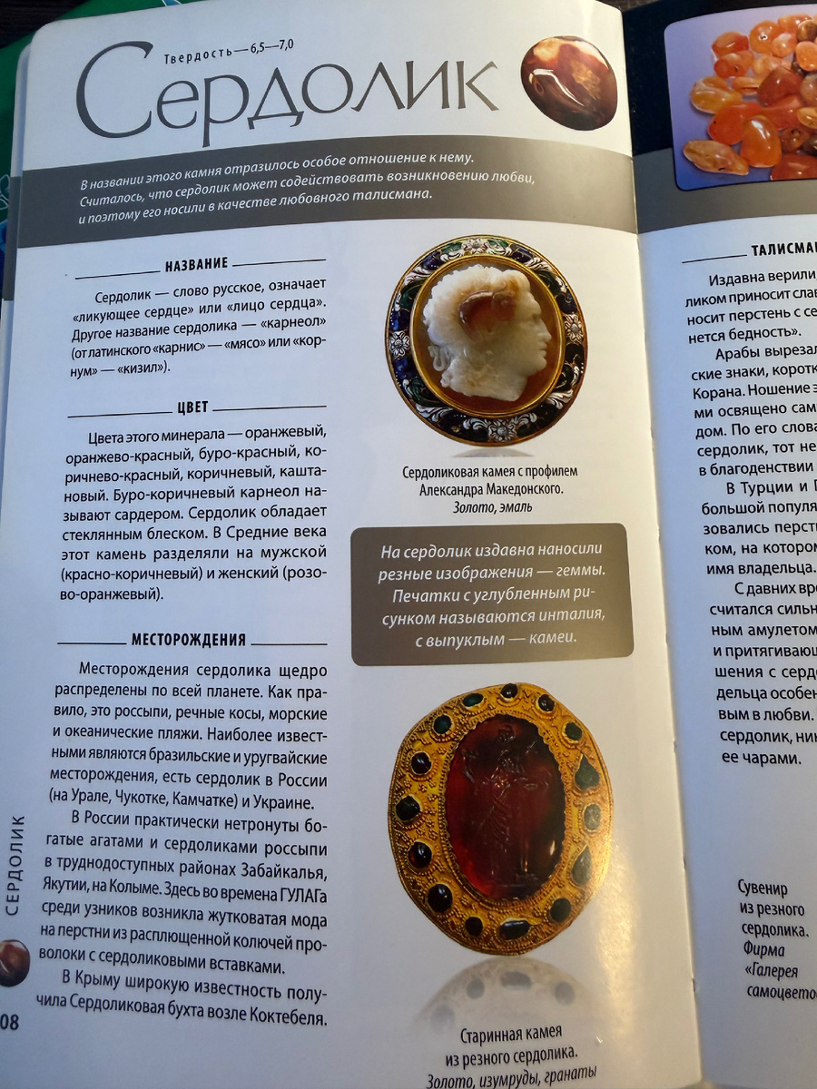 Разворот из книги Светланы Гураль 