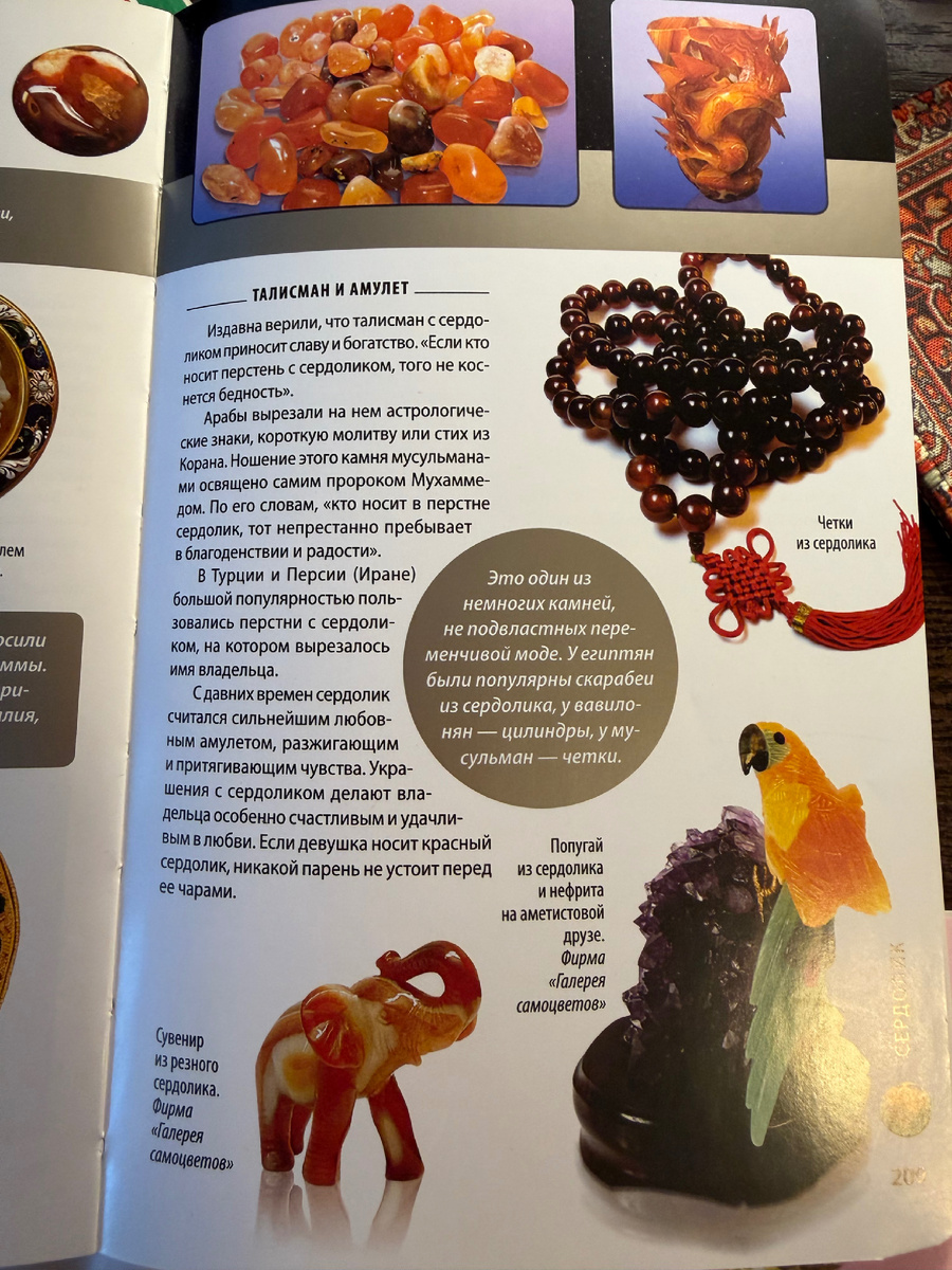 Разворот из книги Светланы Гураль 