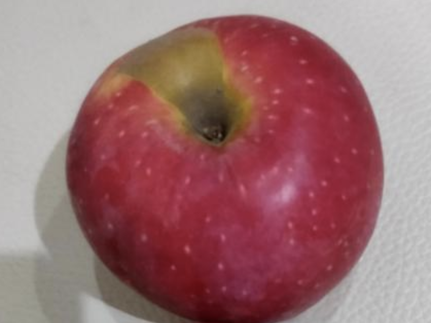 тест на яблоко