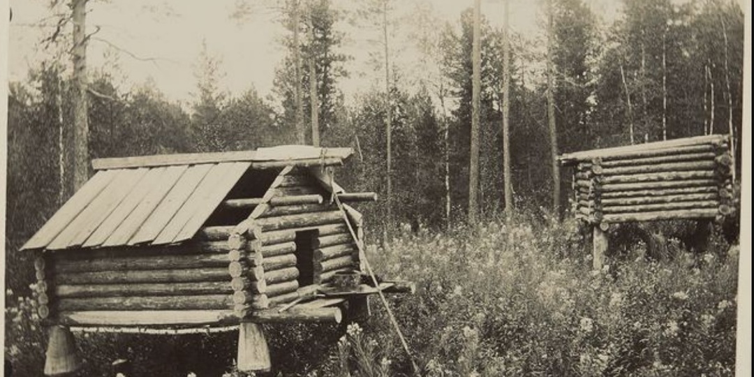 Забытое убежище старообрядцев: что Васюганское болото скрывает от посторонних глаз?