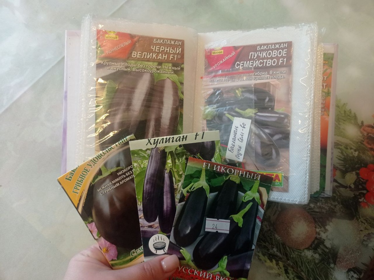 Баклажанные закрома.