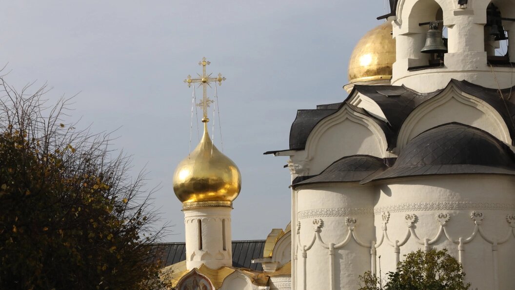    ФОТО: Царьград