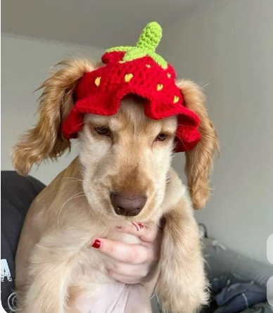 фото из открытого источника.