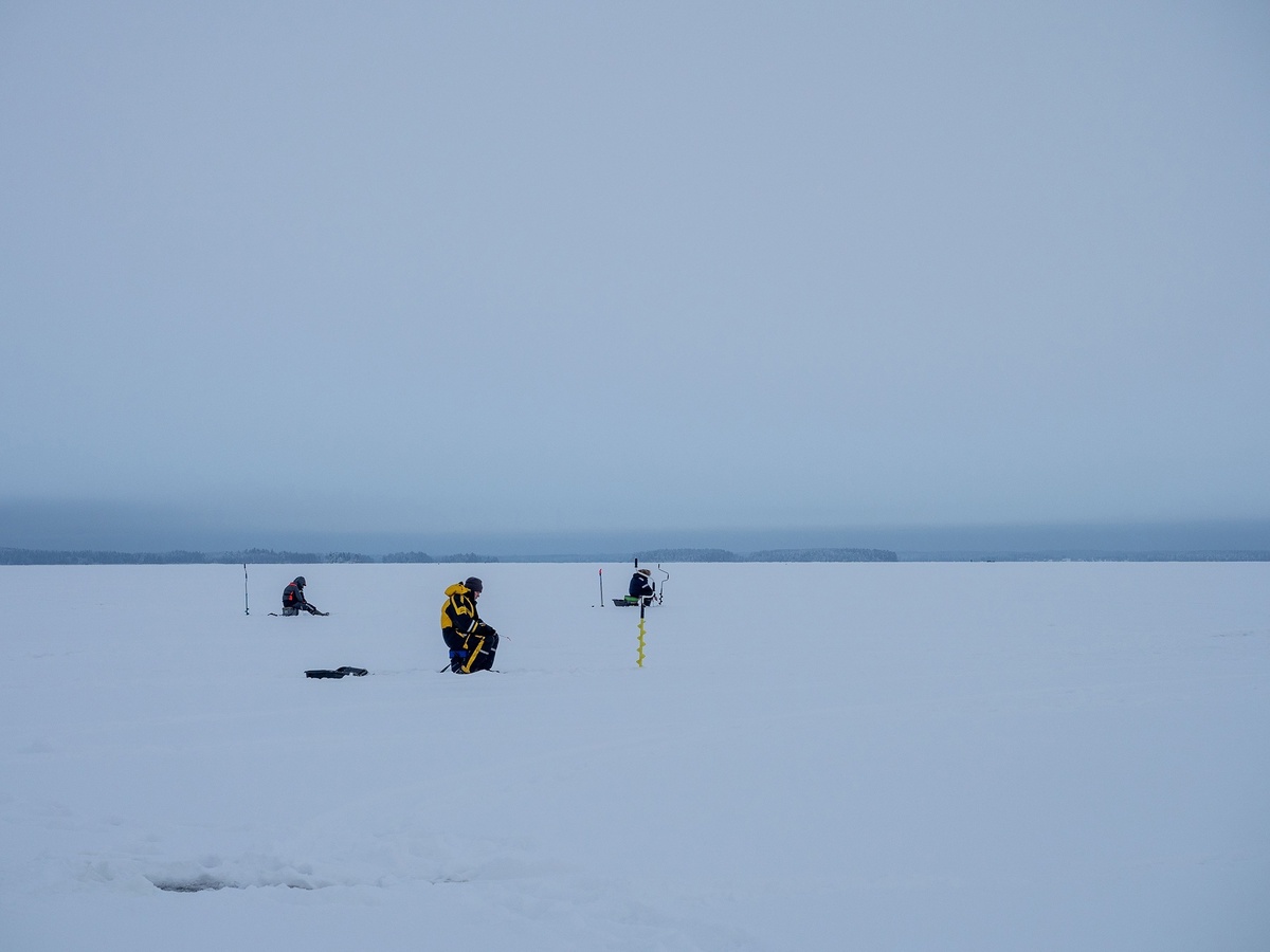    фото: © Игорь Подгорный