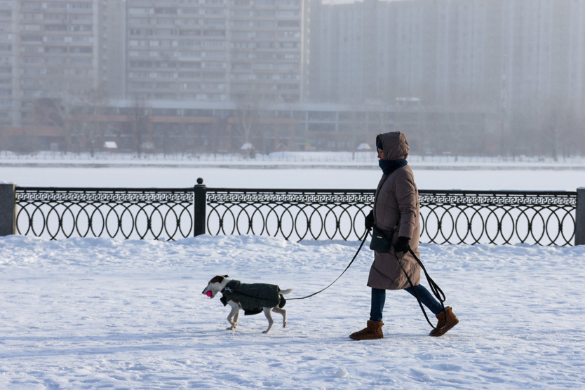     Фото: Михаил Метцель / ТАСС