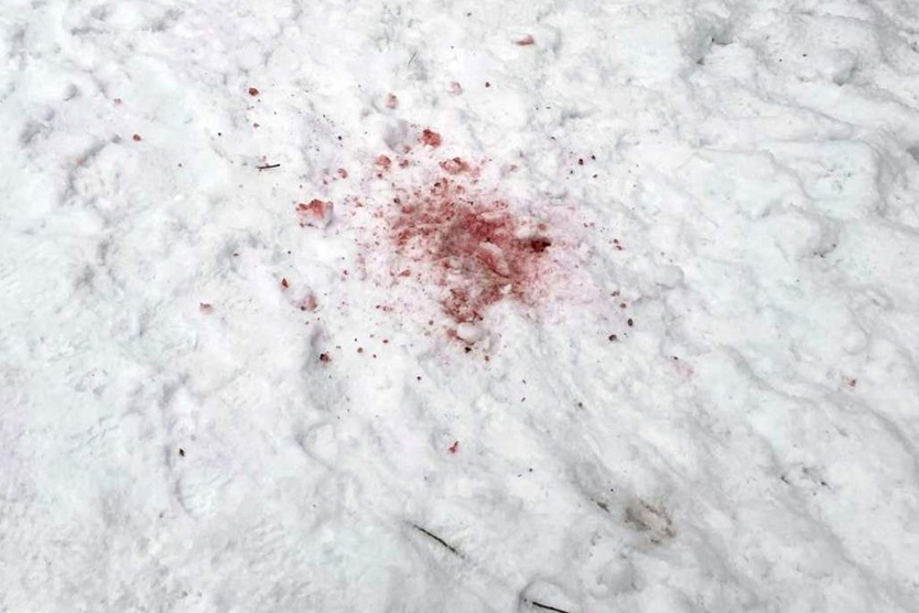    Фото: Измайлово М125 / Telegram