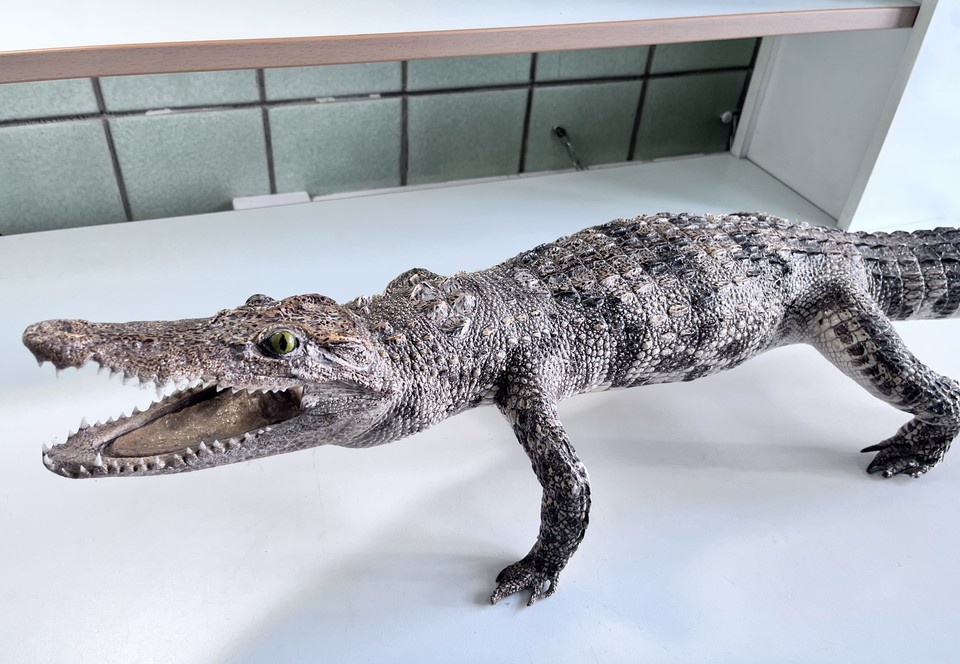    Фото: Сибирское таможенное управление