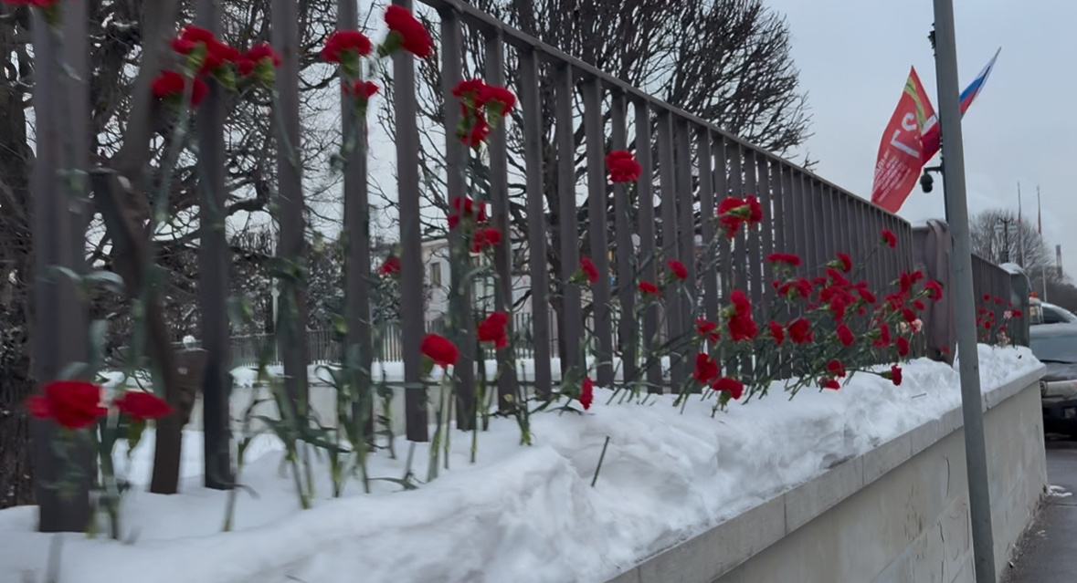 Ограда вся в алых гвоздиках.